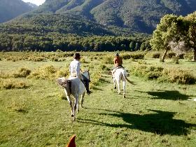 two people riding horses through the Argentinium countryside